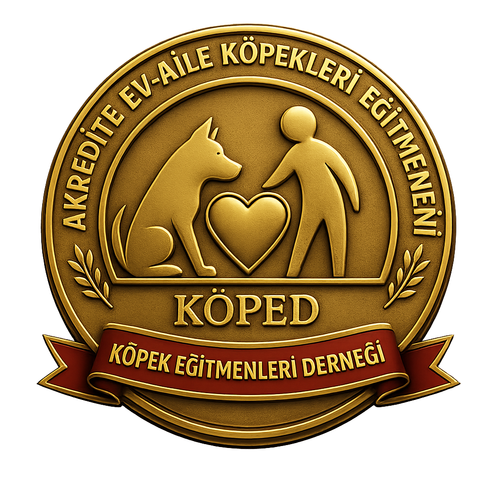 Akredite Eğitmenlerimiz