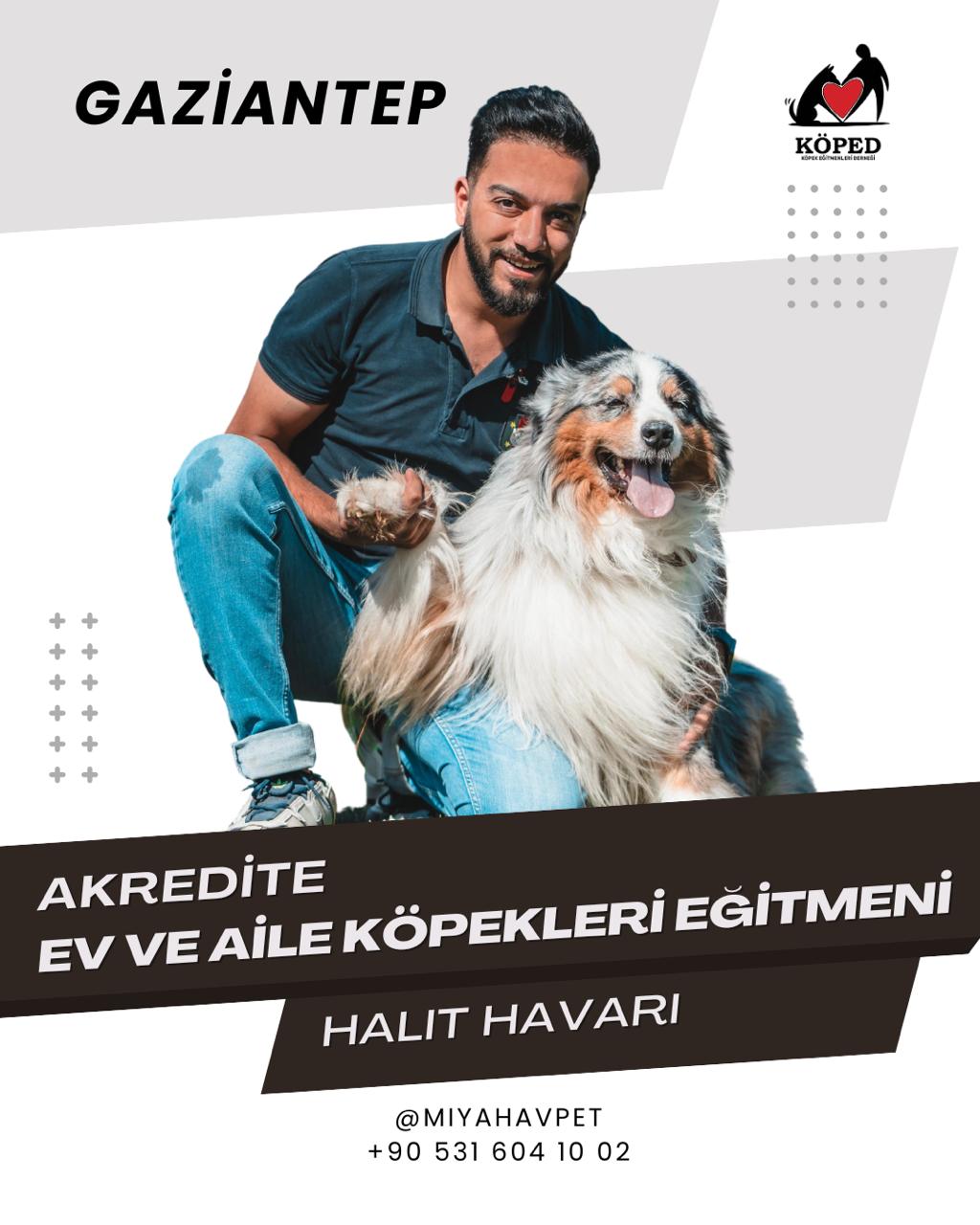 Halit Havari